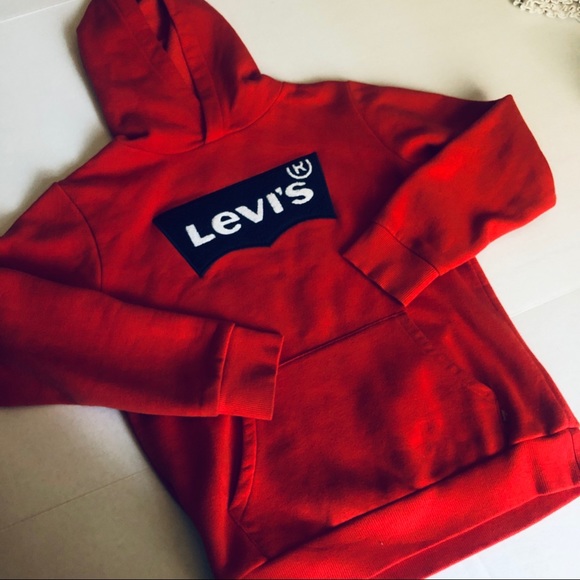 kids levis hoodie